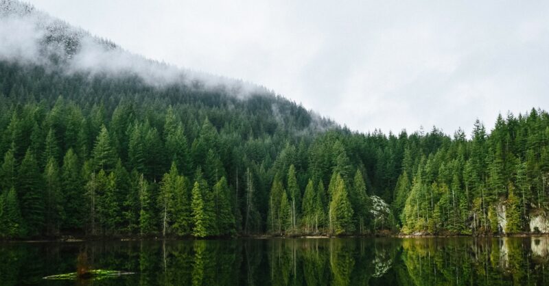 NZAOA calls for policy action and collaboration to accelerate climate investments – United Nations Environment – Finance Initiative