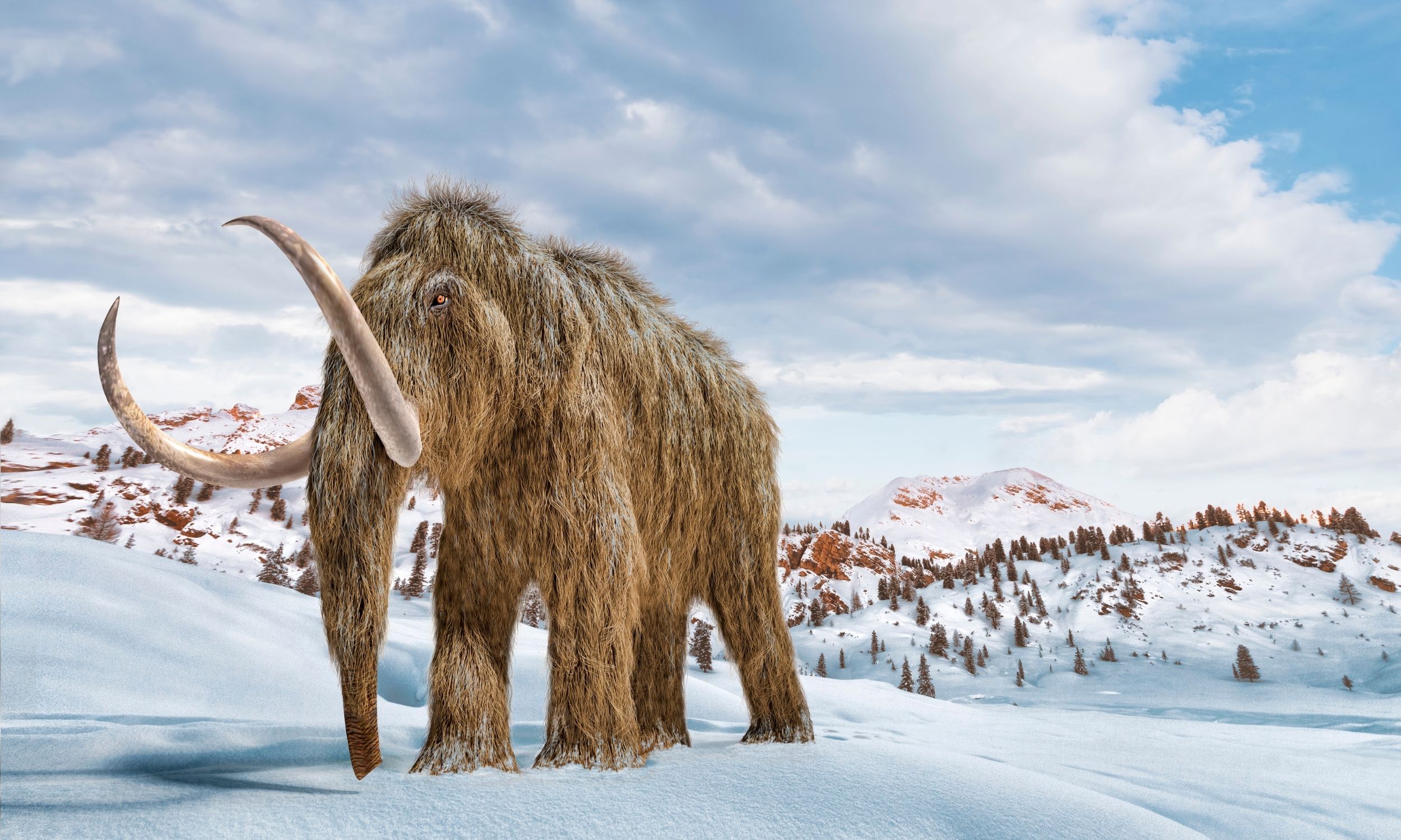 Oldest microbial DNA was found in a 1-million-year-old mammoth