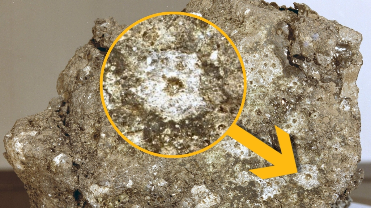 Constant Rain of Tiny Meteoroids Poses ‘Silent Threat’ to Future Moon Base : ScienceAlert Constant Rain of Tiny Meteoroids Poses ‘Silent Threat’ to Future Moon Base : ScienceAlert