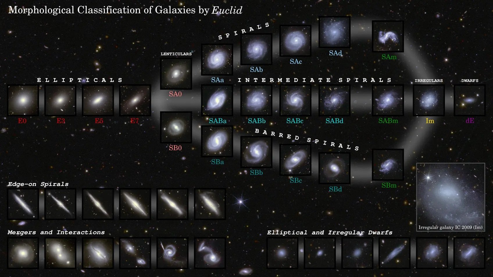 Euclid’s First Data Release Sheds Light on Galaxy Evolution