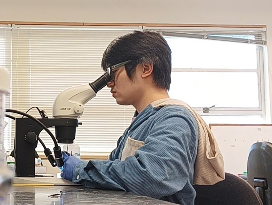 Curiosity in action: Nick Cheung explores science behind sleeping finches and fruit fly neurons