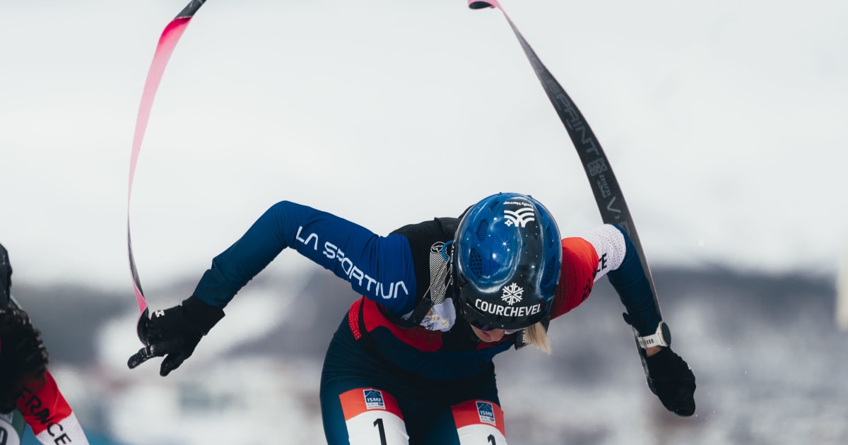 What are the skins athletes put on their skis?