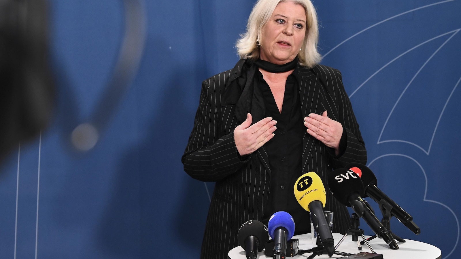 Sweden promises action against illegal sex doll sales