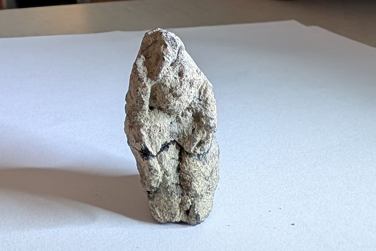 A 12,000-Year-Old Figurine Shows the Earliest Human–Animal Interaction Ever Found