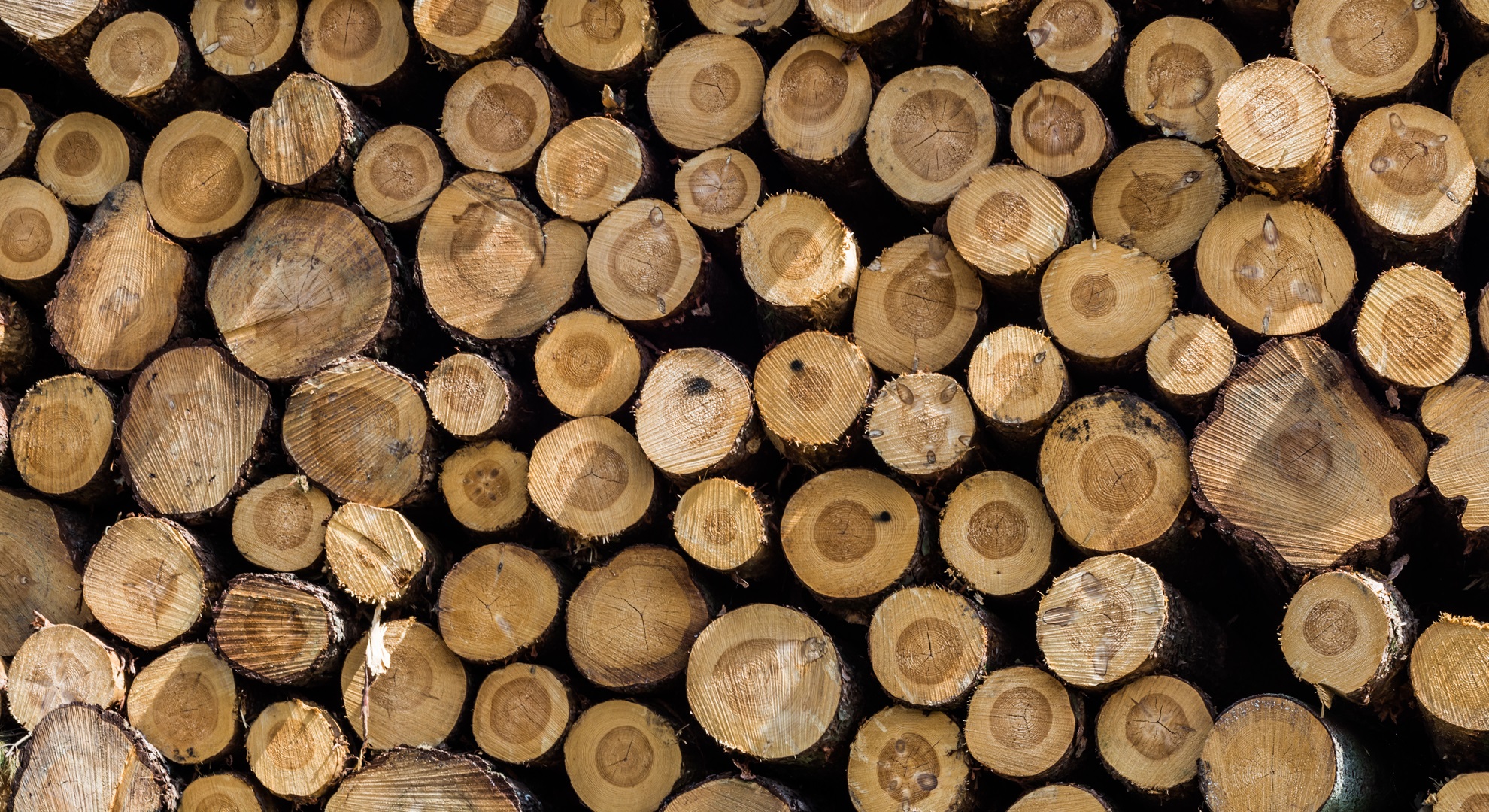 KSV Restructuring Inc acts as CCAA monitor in restructuring and sale of Norwood Sawmills | Canada | Global law firm