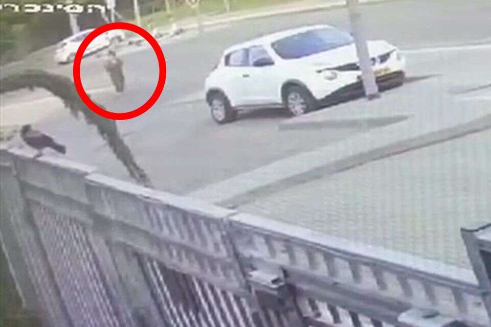 פורסמו תיעודים חדשים של פרופ’ יערי לפני שנעלמו עקבותיה פורסמו תיעודים חדשים של פרופ’ יערי לפני שנעלמו עקבותיה