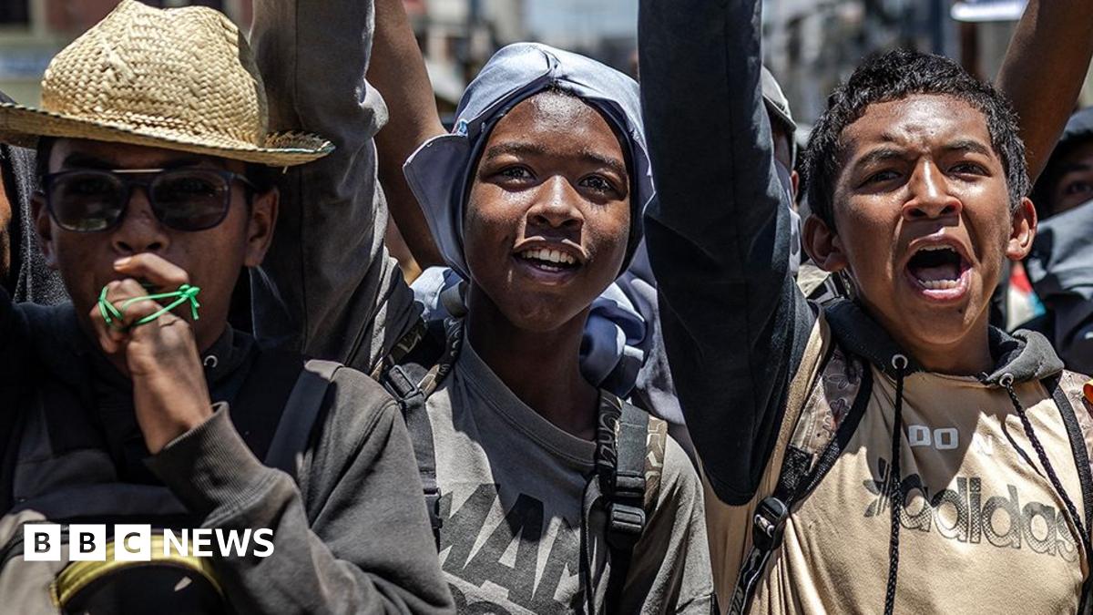 Africa's year in politics: Coups, elections and protests – BBC