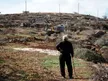 IDF uproots hundreds of olive trees, razing groves in Palestinian West Bank village IDF uproots hundreds of olive trees, razing groves in Palestinian West Bank village
