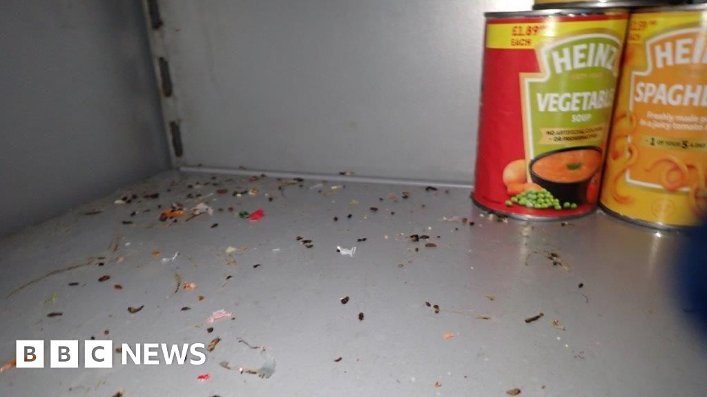 Liverpool store fined £13k after dead mouse and droppings found