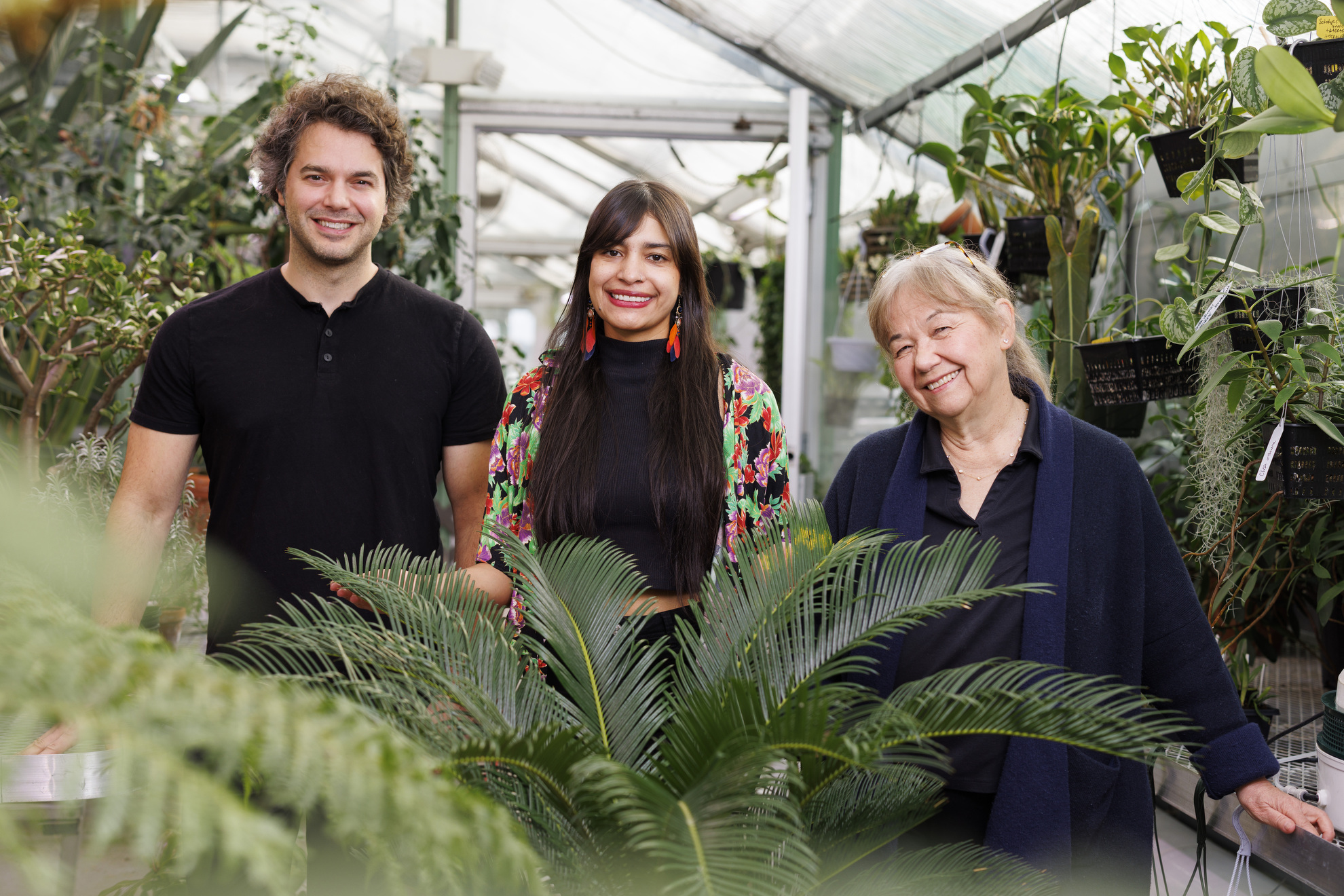 First, male gets heated up, then female, and then, you know — Harvard Gazette