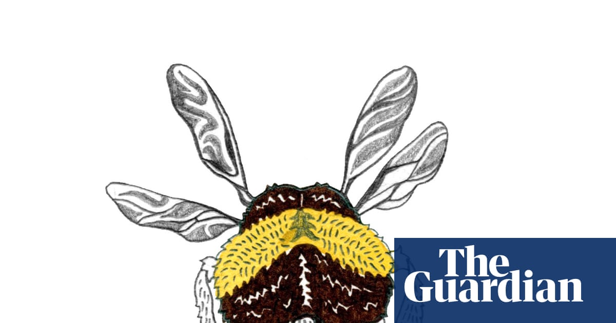 Do bees have bums and how do boats float? The kids’ quiz | Family Do bees have bums and how do boats float? The kids’ quiz | Family