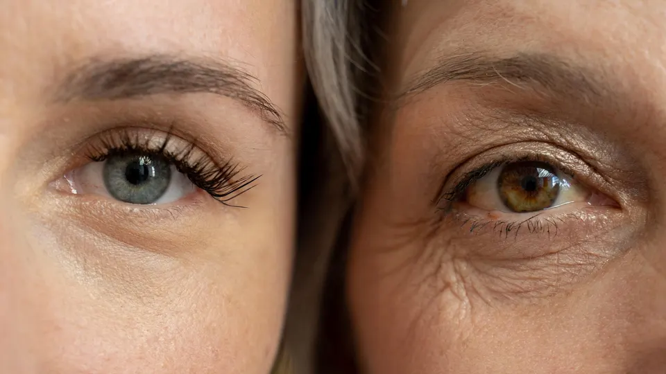 Are Biological Age Tests Worth It? Here’s What The Research Says Are Biological Age Tests Worth It? Here’s What The Research Says