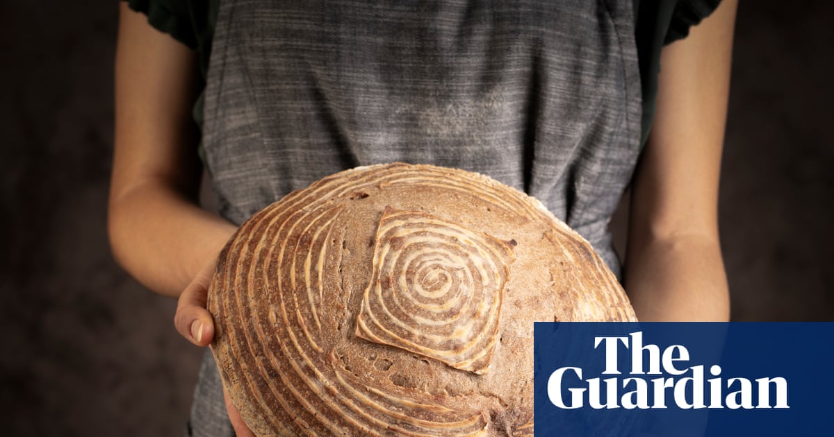 ‘Soil is more important than oil’: inside the perennial grain revolution | Environment ‘Soil is more important than oil’: inside the perennial grain revolution | Environment