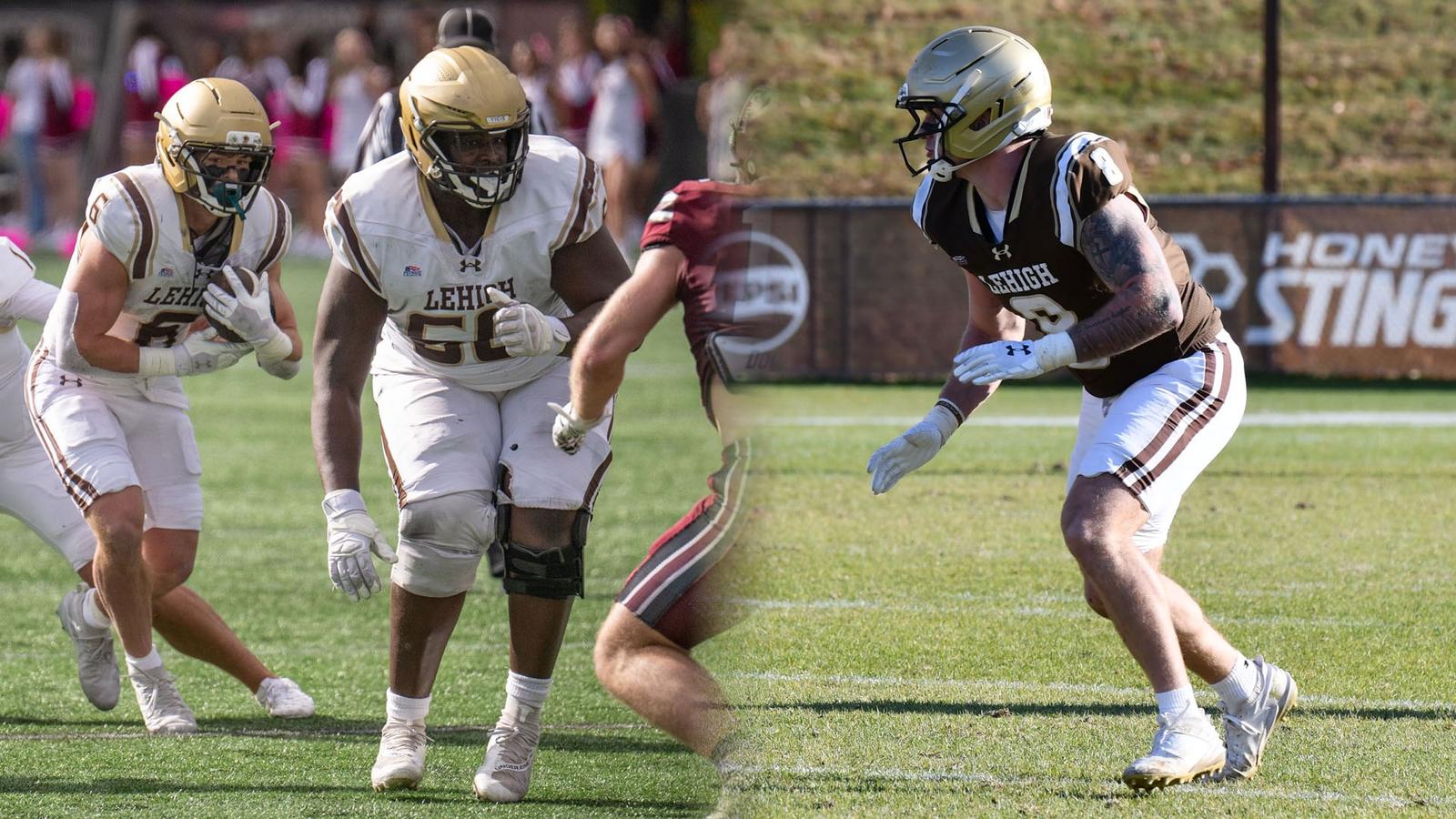 Seven Mountain Hawks Earn All-America Recognition From Associated Press