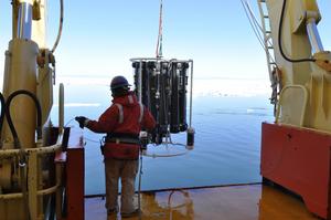 Deep ocean earthquakes drive Southern Ocean’s massive phytoplankton blooms, study finds