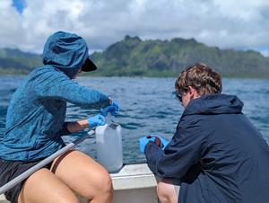 Study reveals how ocean’s most abundant bacteria diversify