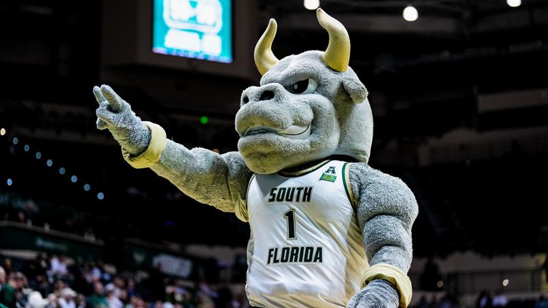 Bulls Look to Remain Undefeated at Home as They Host UMBC Sunday