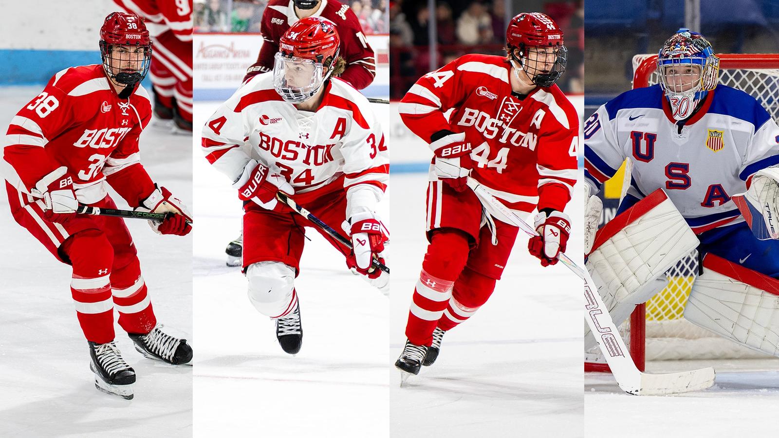 Four Terriers to Represent United States at World Junior Championship