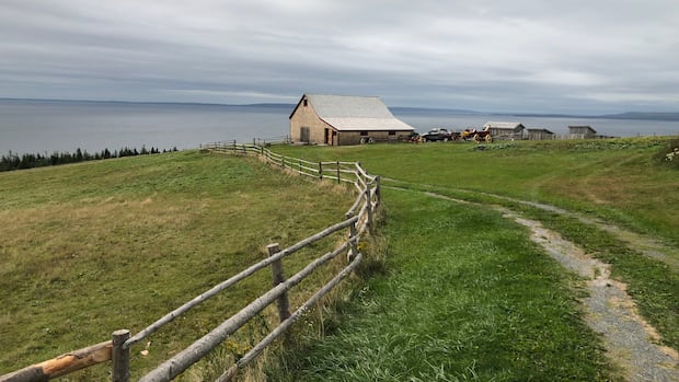 Uptick in domestic travel, dry summer helped draw more tourists to Cape Breton Uptick in domestic travel, dry summer helped draw more tourists to Cape Breton