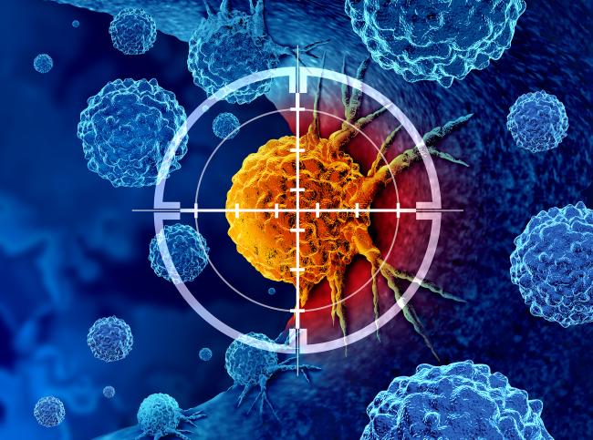 NIH-led study reveals role of mobile DNA elements in lung cancer progression NIH-led study reveals role of mobile DNA elements in lung cancer progression