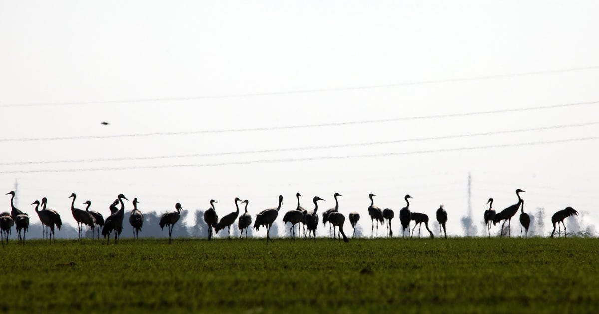 תחזית מזג האוויר: מחר יהיה נאה, בסוף השבוע יירד גשם לפרקים – מזג האוויר תחזית מזג האוויר: מחר יהיה נאה, בסוף השבוע יירד גשם לפרקים – מזג האוויר