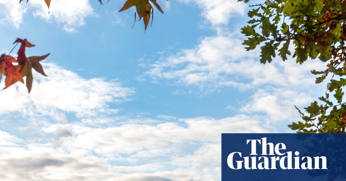 No longer ‘unloved’: retailers investing more in physical stores, UK data shows | Retail industry No longer ‘unloved’: retailers investing more in physical stores, UK data shows | Retail industry