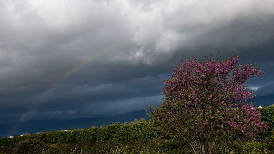 לקראת סוף שבוע קר ויבש