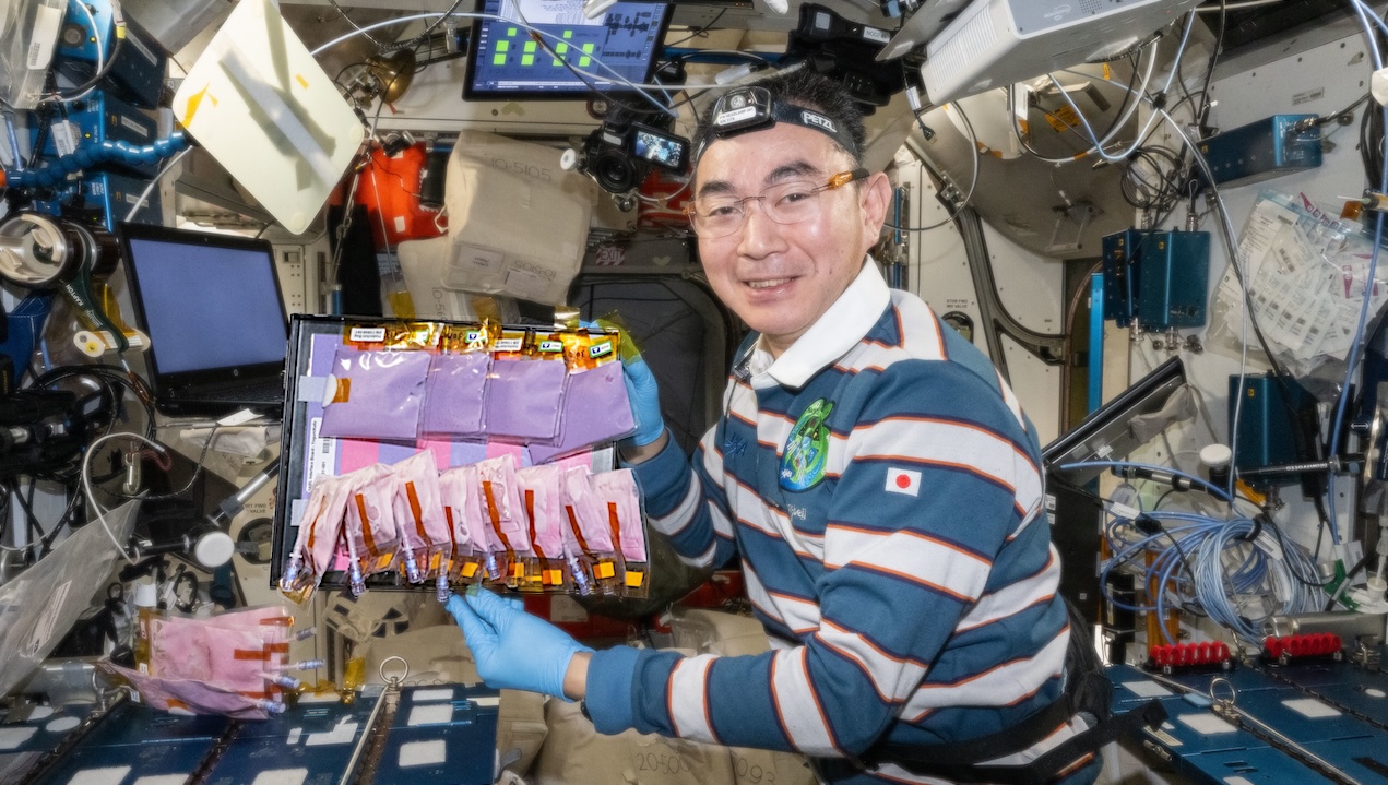 NASA Spaceline Current Awareness List #1,176 28 November 2025 (Space Life Science Research Results)