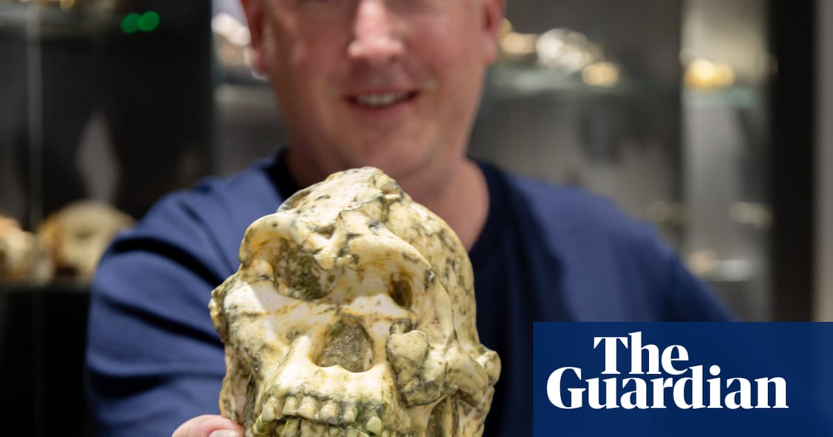 Little Foot hominin fossil may be new species of human ancestor | Evolution Little Foot hominin fossil may be new species of human ancestor | Evolution