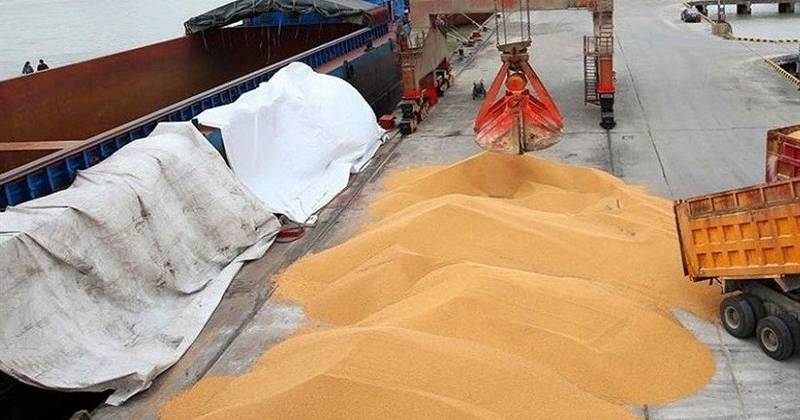 Iran says it has 4 million tons of wheat in strategic reserves Iran says it has 4 million tons of wheat in strategic reserves