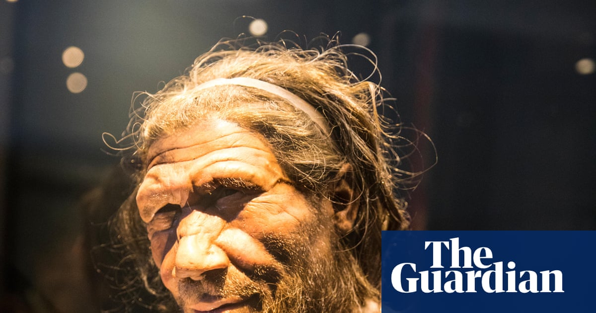Endoscopy finds Neanderthal noses not as adapted to the cold as expected | Environment