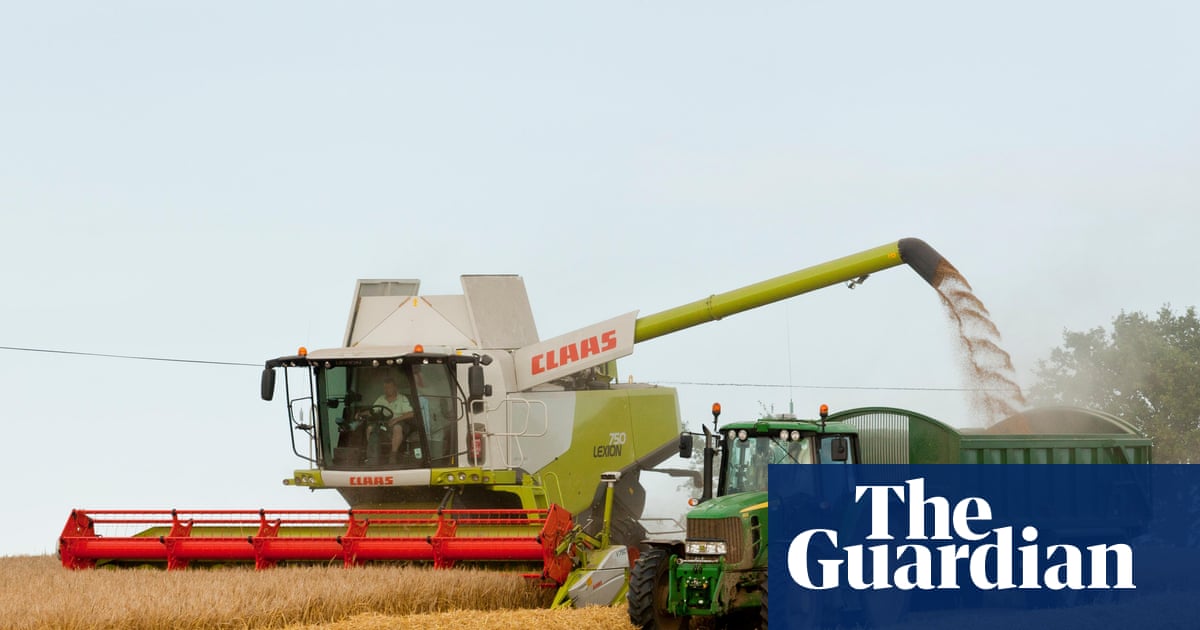 UK farmers lose £800m after heat and drought cause one of worst harvests on record | Farming UK farmers lose £800m after heat and drought cause one of worst harvests on record | Farming