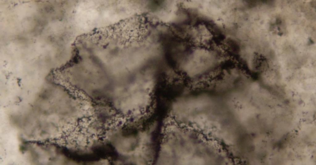 AI detects ancient life signatures in 3.3-billion-year-old rocks using chemistry and machine learning