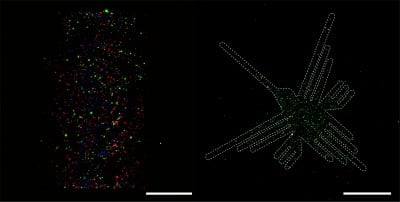 Shedding new light on the tiny bubbles sending signals between cells Shedding new light on the tiny bubbles sending signals between cells