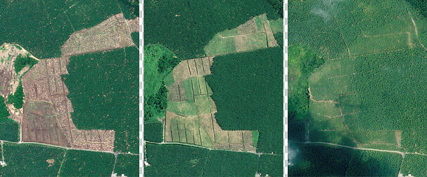 Airbus fosters Callebaut deforestation-free supply Airbus fosters Callebaut deforestation-free supply