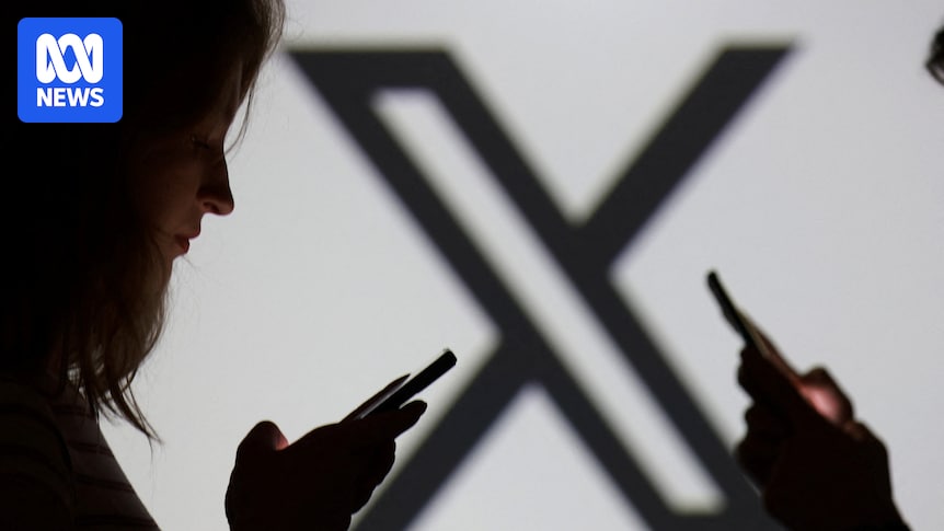 X payments incentivised misinformation in wake of Bondi shooting, expert says