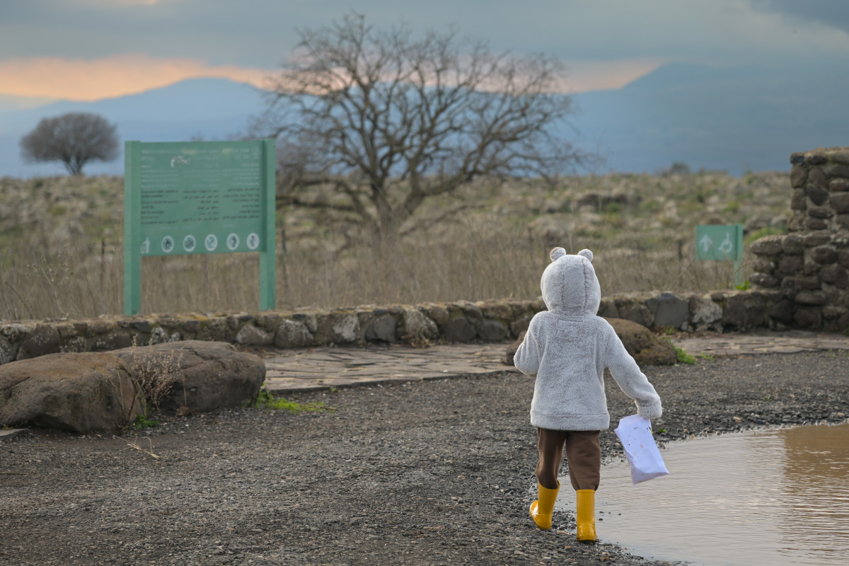 תחזית מזג אוויר לשבת: מעונן חלקית ועלייה קלה בטמפרטורות