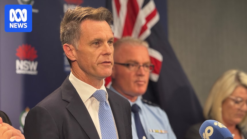 NSW parliament likely to pass Australia’s toughest gun laws, crackdown on protests