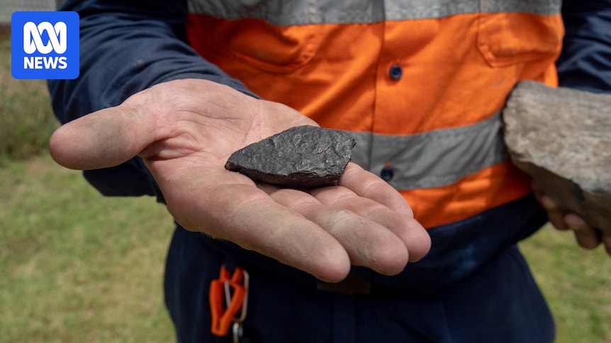 Government-formed agency recommends against NSW coal industry expansion Government-formed agency recommends against NSW coal industry expansion