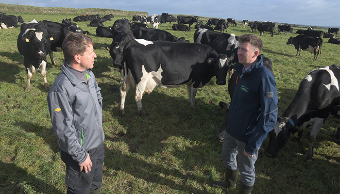 Basics pay off in Bandon – Teagasc