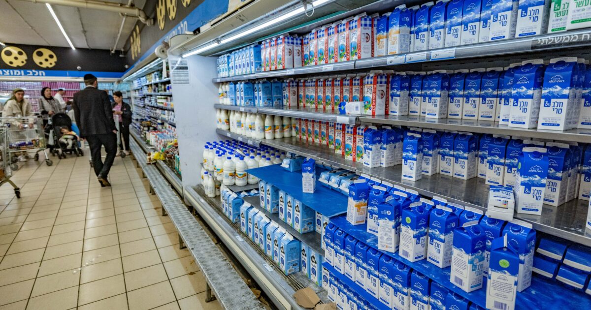 “המאבק לא נגמר”: רפתני ישראל מגיבים לאישור רפורמת החלב – ערוץ 14