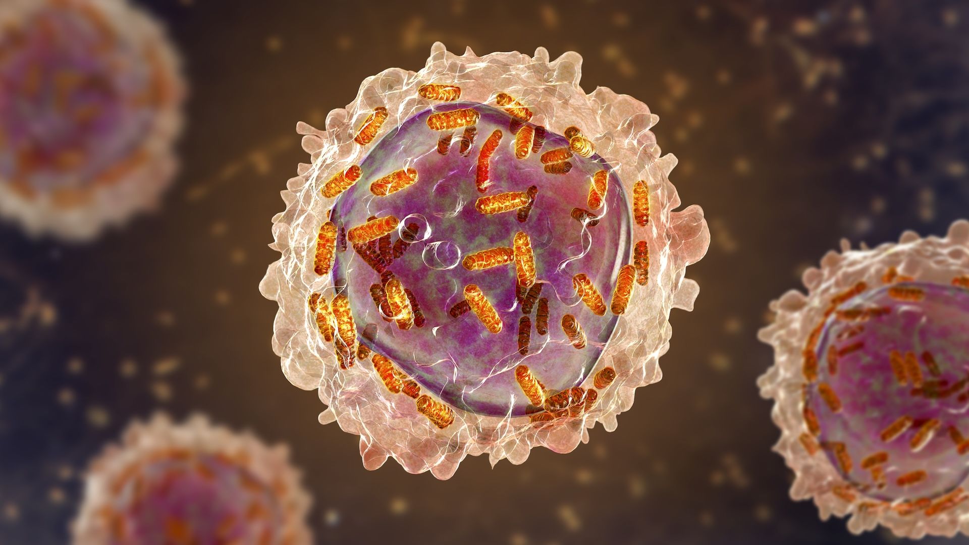 Science history: Female chemist initially barred from research helps helps develop drug for remarkable-but-short-lived recovery in children with leukemia — Dec. 6, 1954