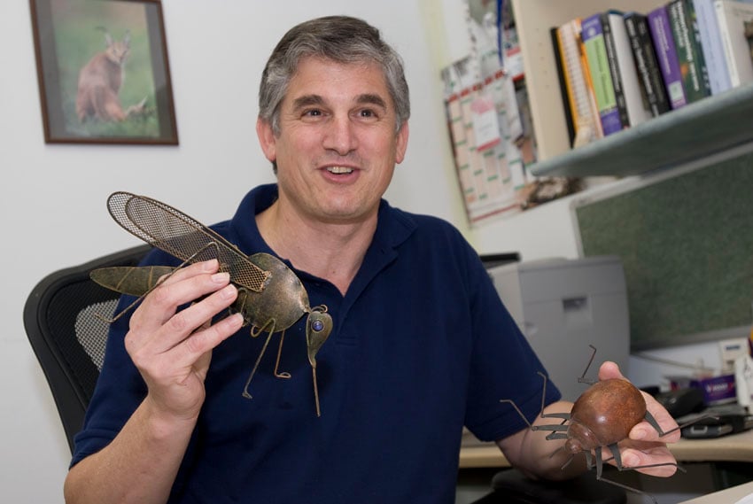 In breakthrough, Israeli scientists develop ‘all-in-one’ DNA test for leishmaniasis infection In breakthrough, Israeli scientists develop ‘all-in-one’ DNA test for leishmaniasis infection