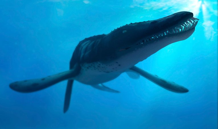 ‘Hyper-apex predators’ over 10 metres long once dominated our oceans – unlike anything seen today, say scientists ‘Hyper-apex predators’ over 10 metres long once dominated our oceans – unlike anything seen today, say scientists
