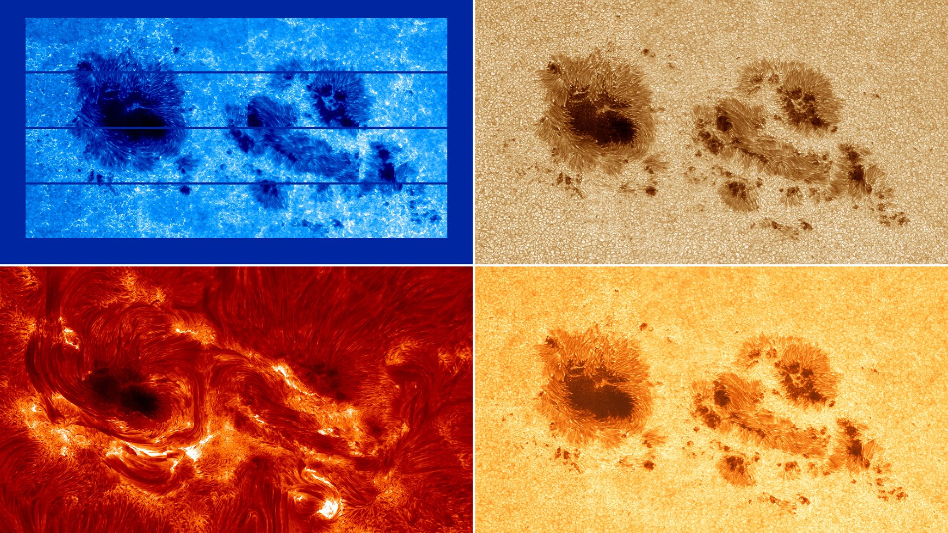 Rare images reveal active sunspots minutes before they unleashed powerful X-flares that caused November 2025’s stunning auroras