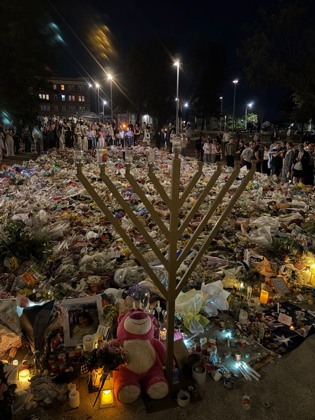 The Blogs: Healing Beyond Bondi: How Sport Can Unite Us in the Face of Darkness | David Goldman