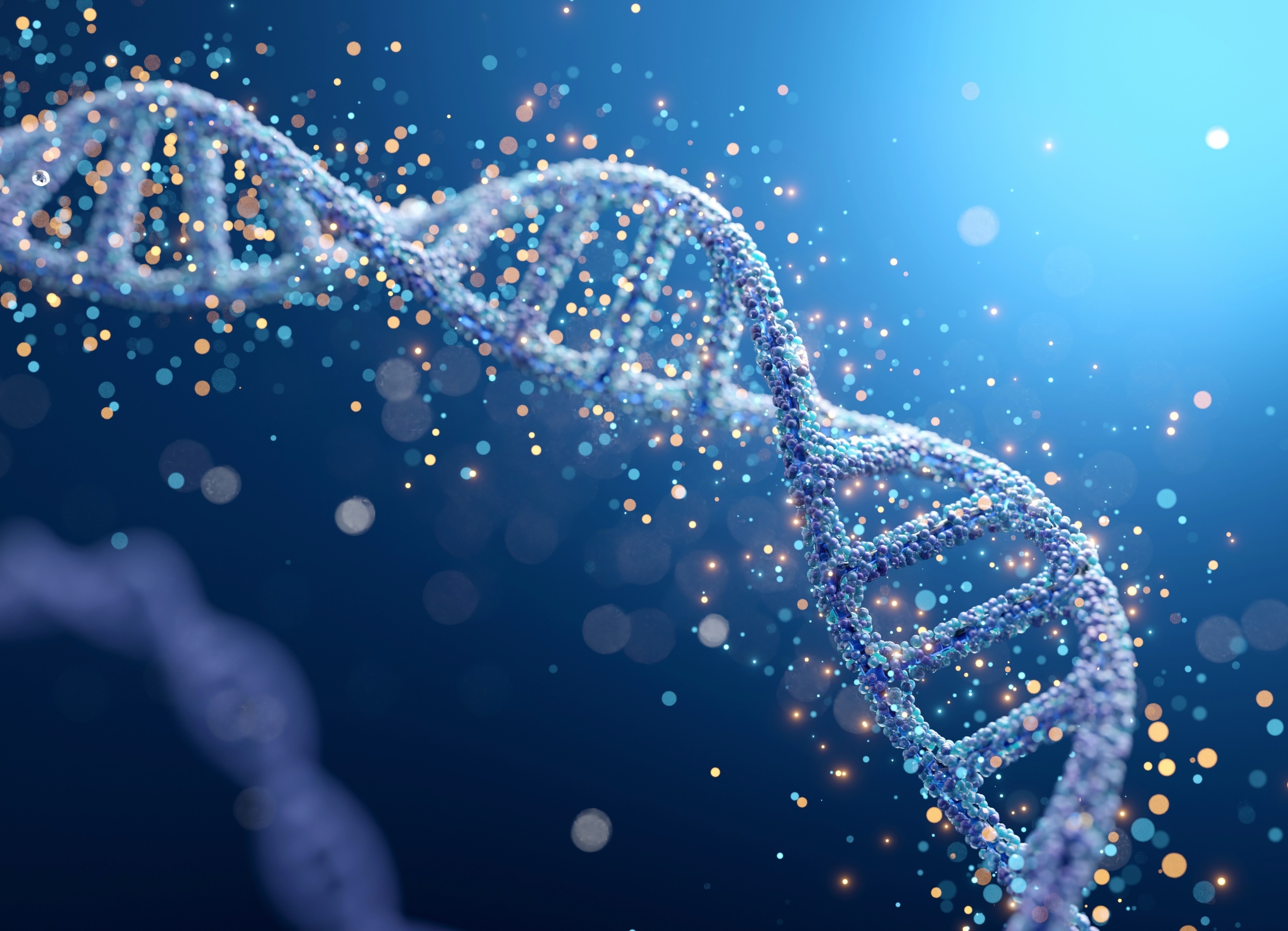 DNA in motion: Human genome comes alive in 4D