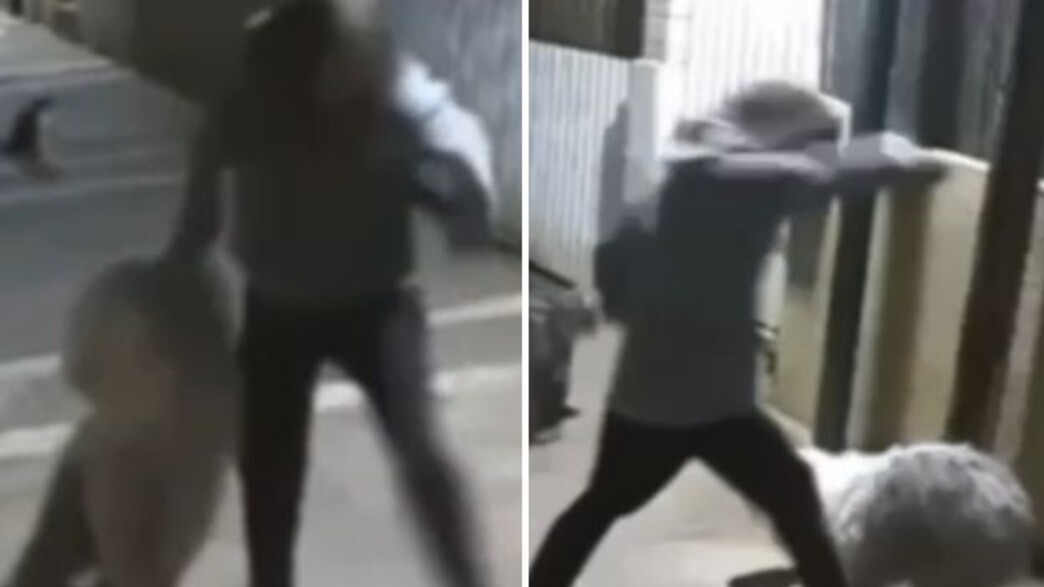 תיעוד התעללות חמורה בכלב בנתניה