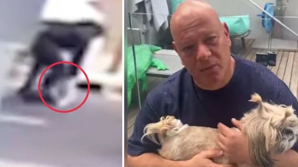 הכלבה של שחקן העבר נחטפה