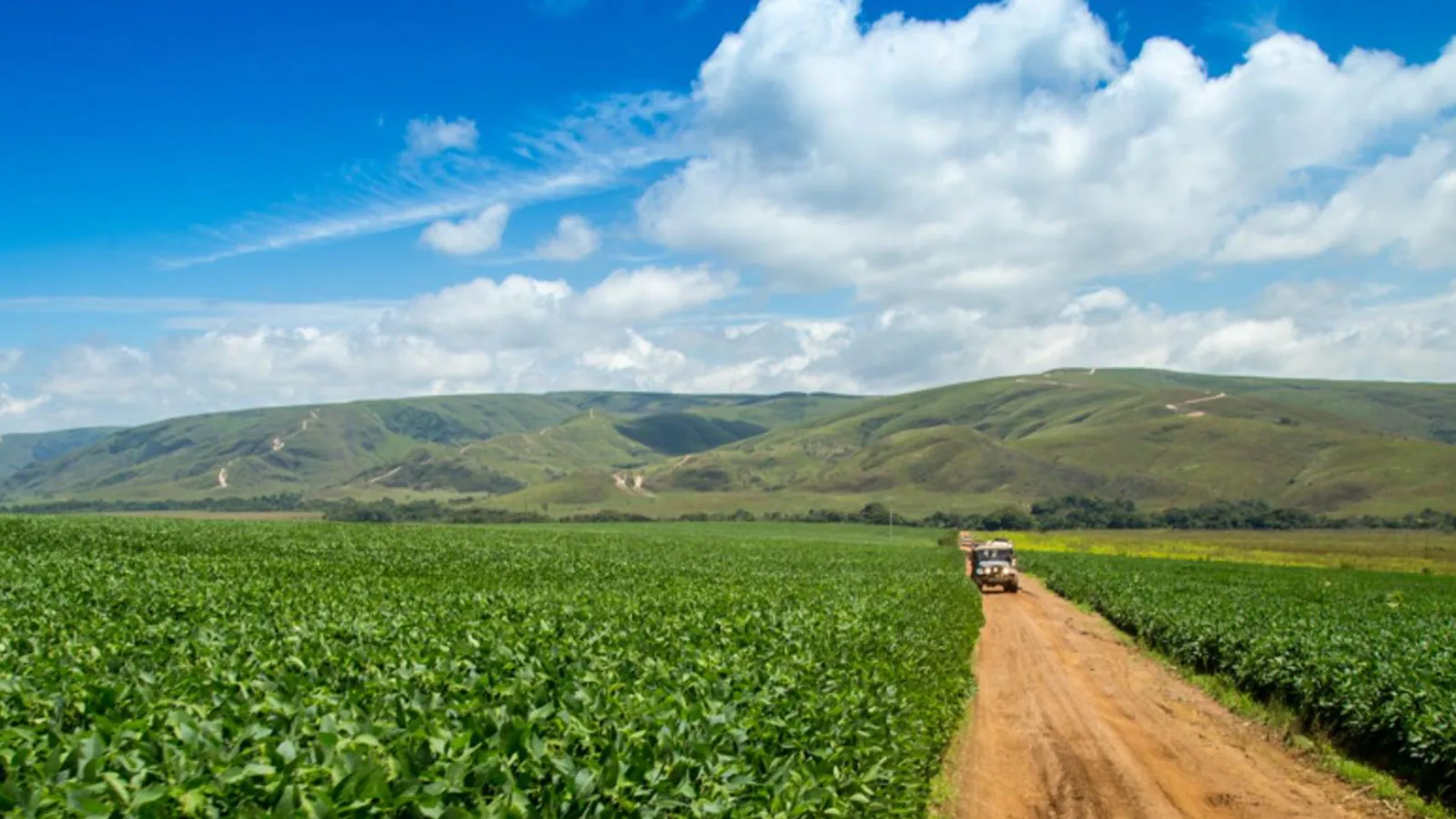 Landscape Accelerator Brazil: Turning Ambition into Action